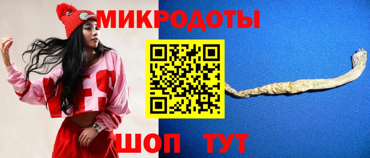 Галлюциногенные грибы Psilocybine cubensis  купить наркотики сайты  Шали  Вход с VPN 