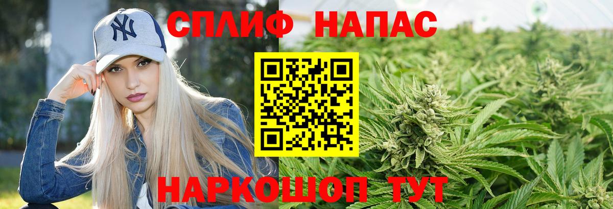 Марихуана план  Канабис марихуана  Конопля SATIVA & INDICA  Вход с VPN  Шали 